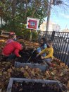 cleaning-earth-and-planting-fall-bulbs-5
