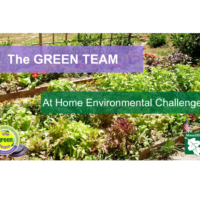 THE GREEN TEAM Webinar: At Home Environmental Challenges